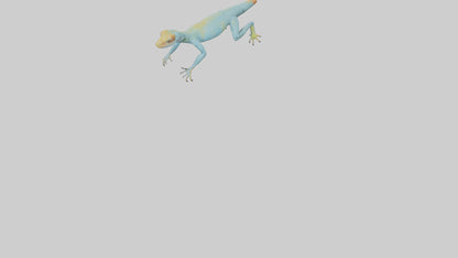 Collared Lizard running model VR / AR / low-poly