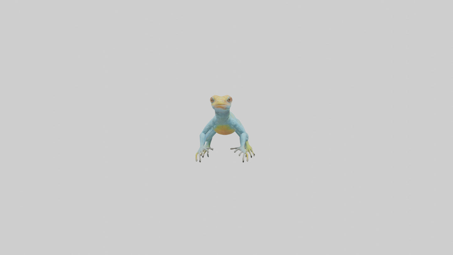 Collared Lizard running model VR / AR / low-poly