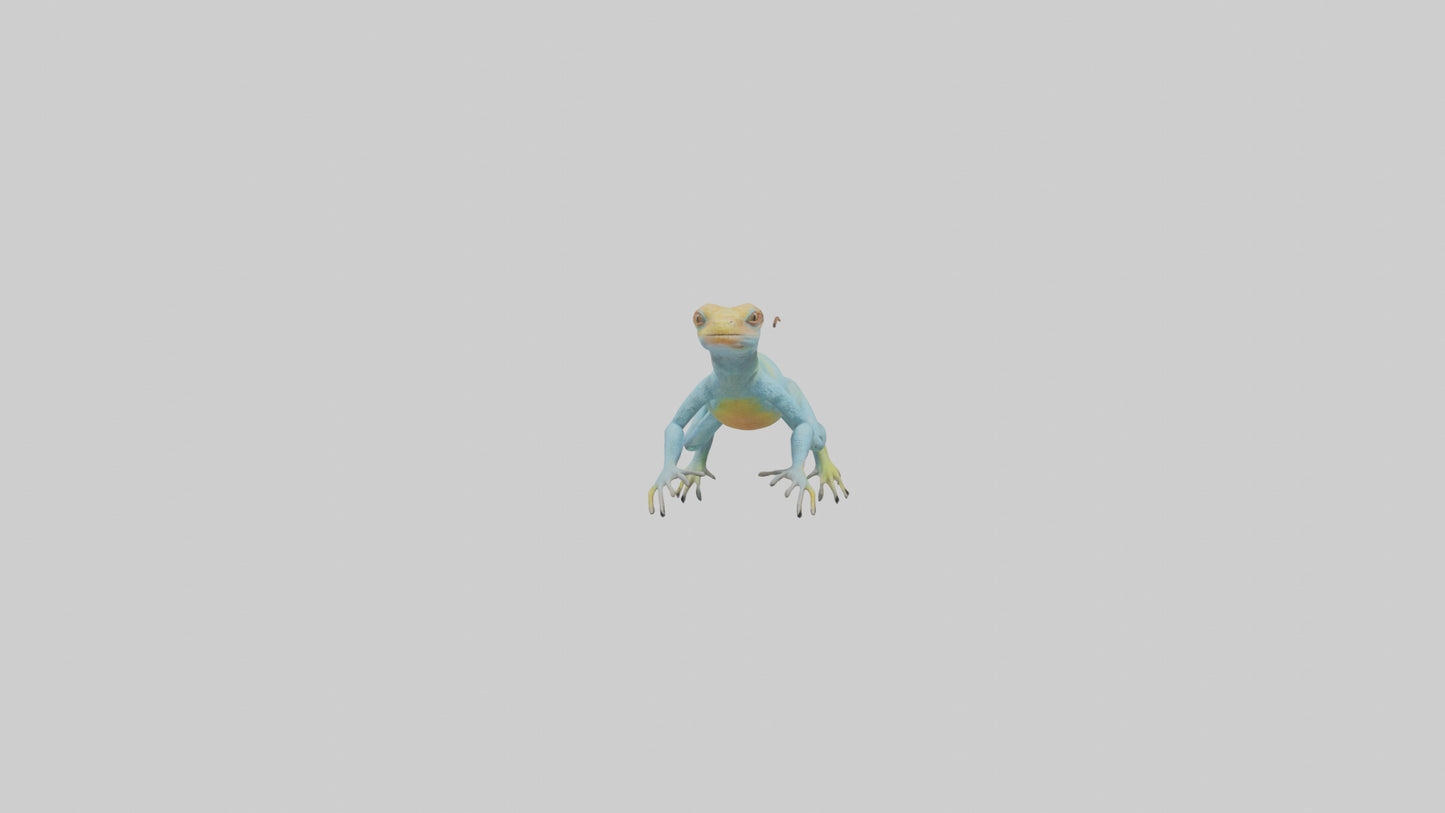 Collared Lizard running model VR / AR / low-poly