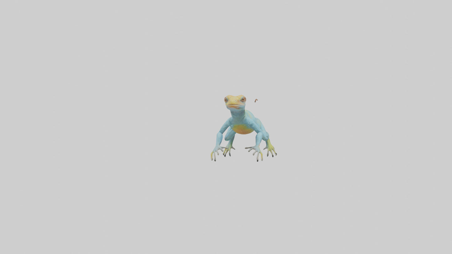 Collared Lizard running model VR / AR / low-poly