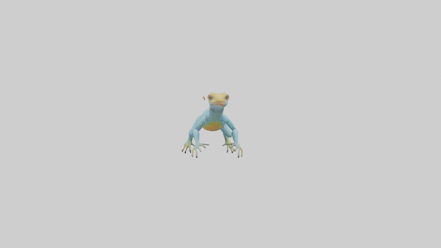 Collared Lizard running model VR / AR / low-poly
