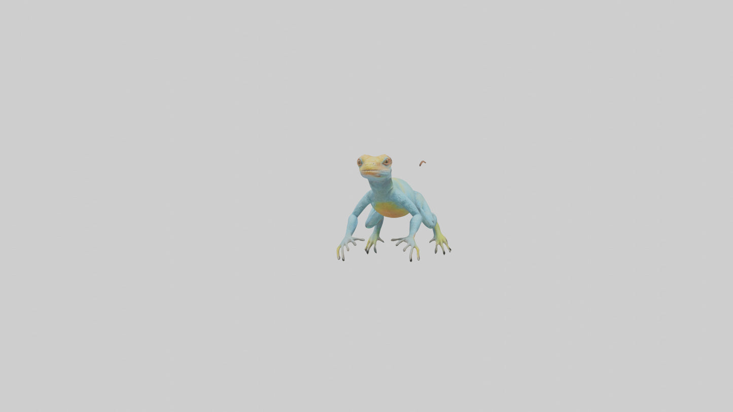 Collared Lizard running model VR / AR / low-poly