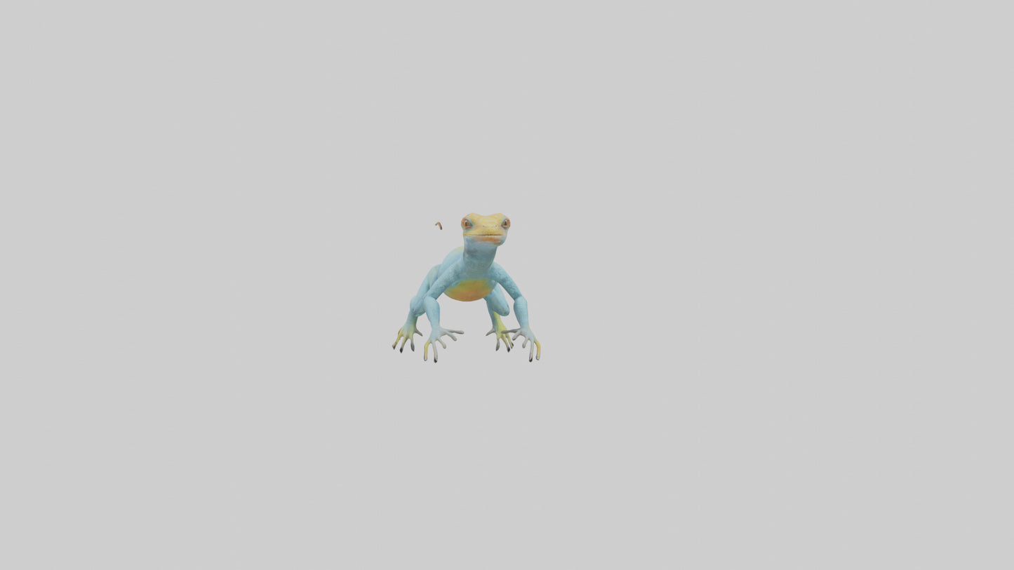 Collared Lizard running model VR / AR / low-poly