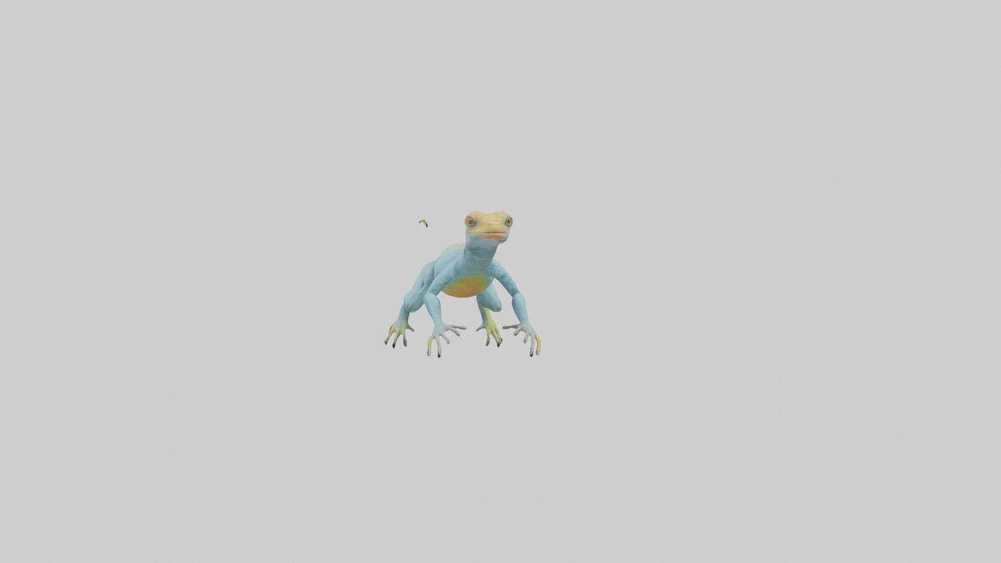 Collared Lizard running model VR / AR / low-poly