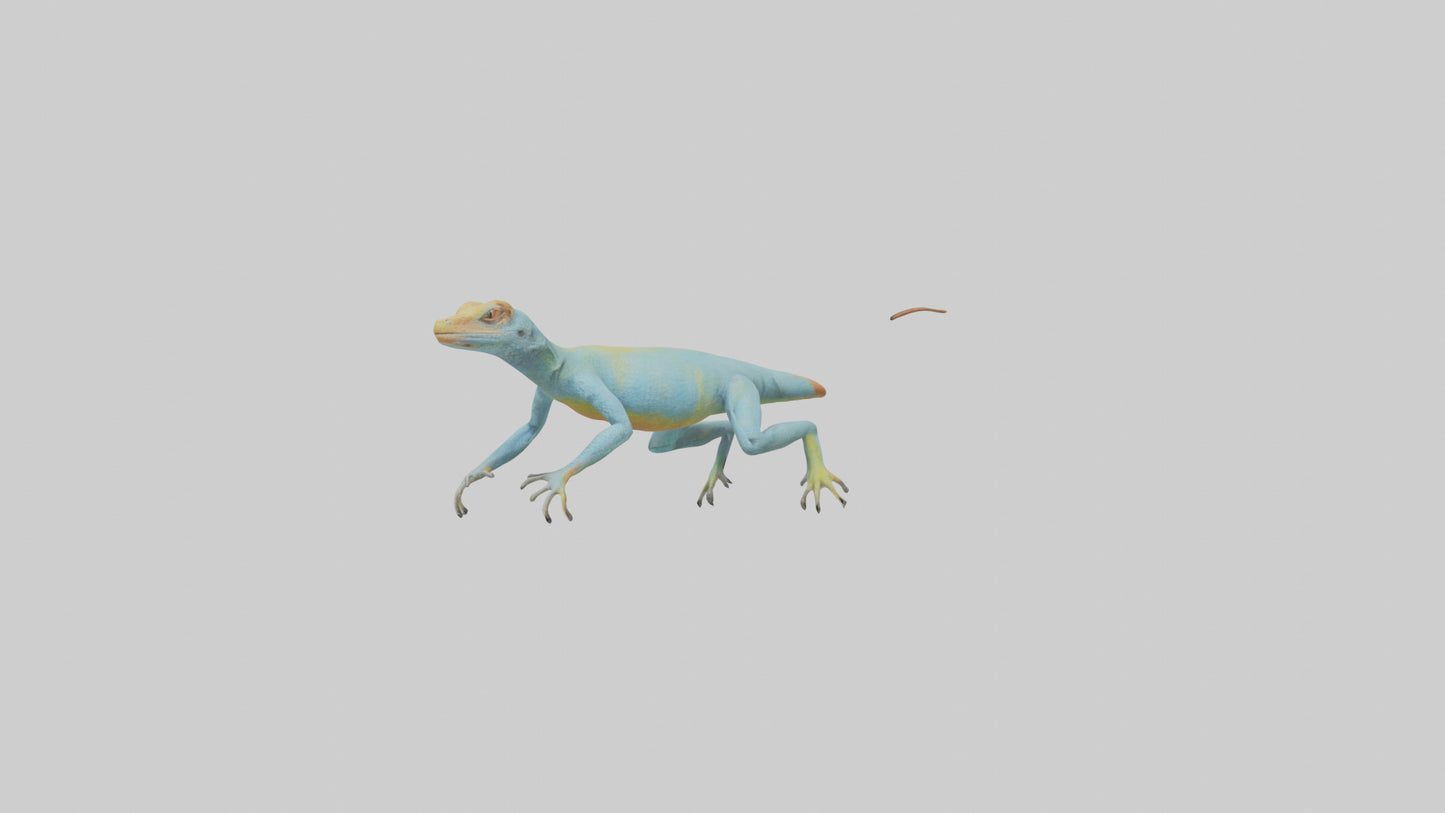 Collared Lizard running model VR / AR / low-poly