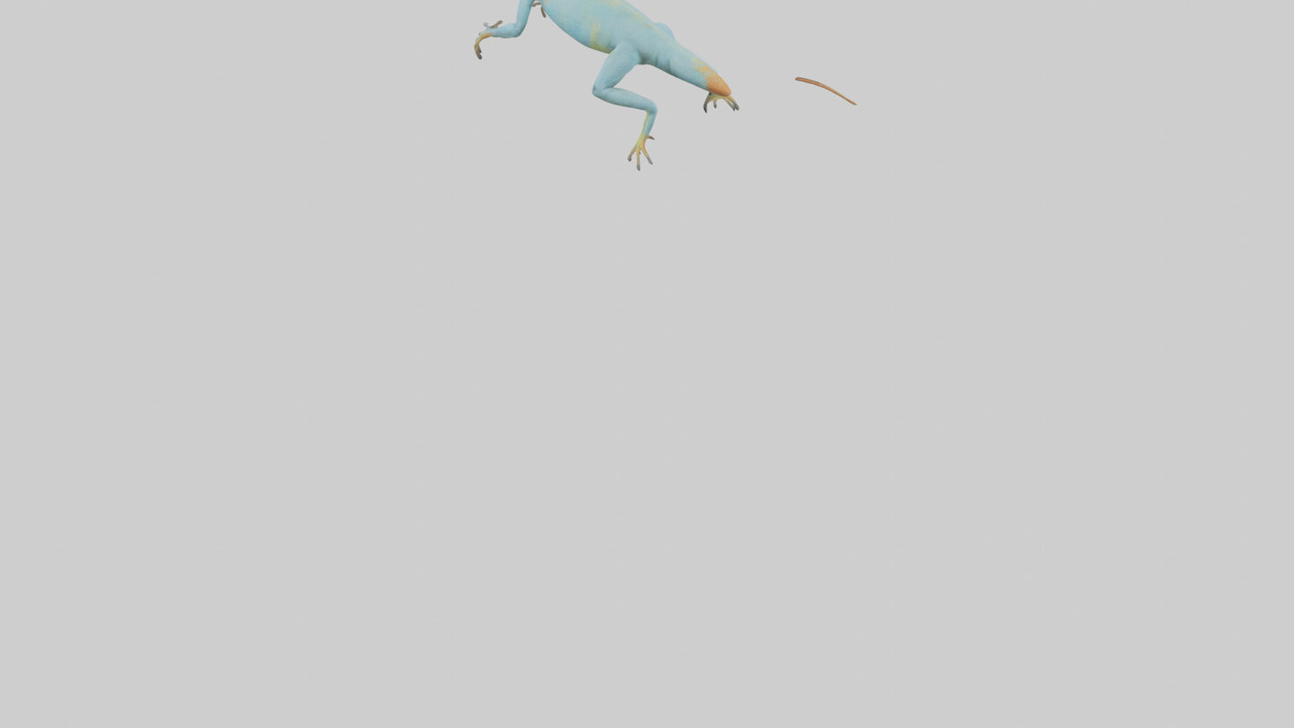 Collared Lizard running model VR / AR / low-poly