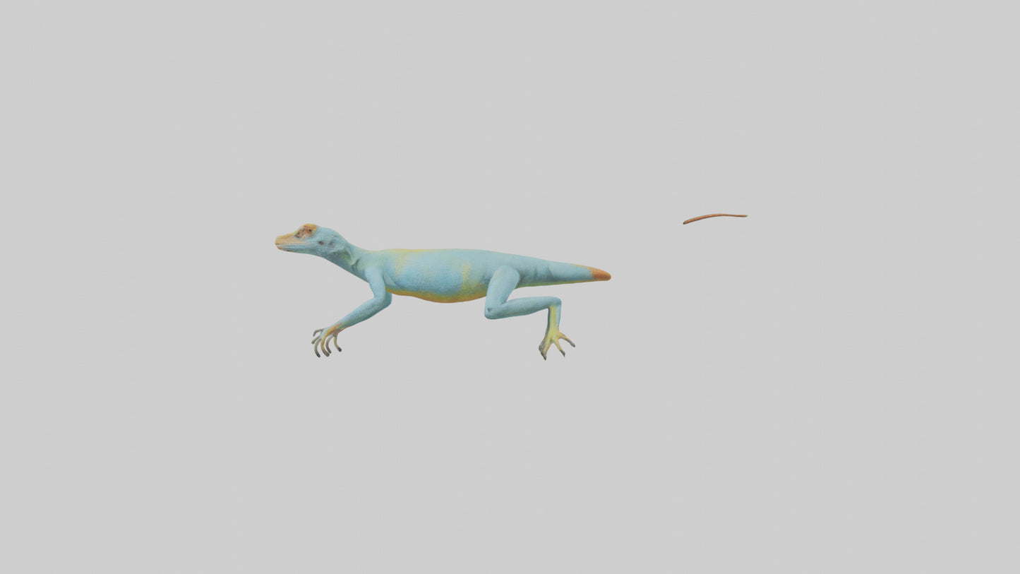 Collared Lizard running model VR / AR / low-poly