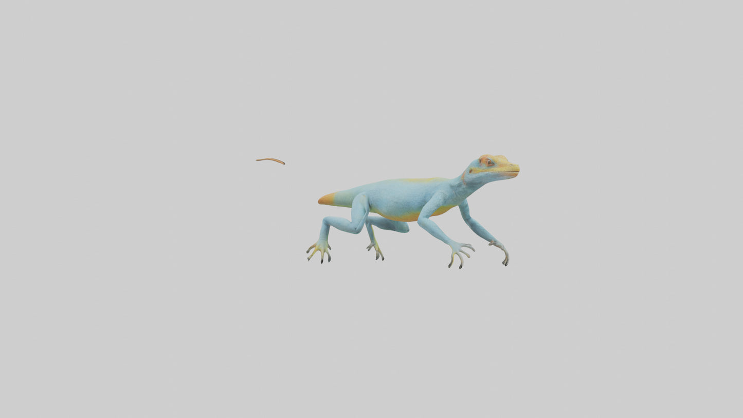 Collared Lizard running model VR / AR / low-poly