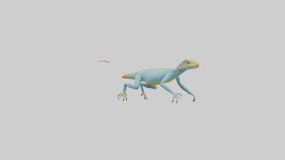 Collared Lizard running model VR / AR / low-poly