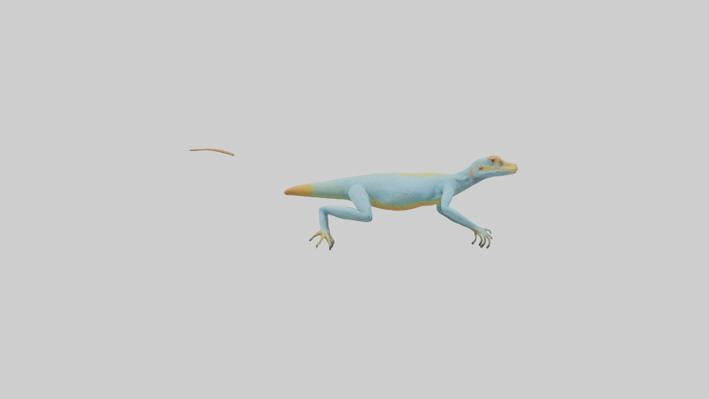 Collared Lizard running model VR / AR / low-poly