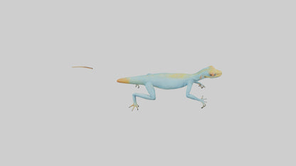 Collared Lizard running model VR / AR / low-poly