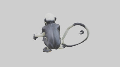 Colobus Monkey statue model VR / AR / low-poly