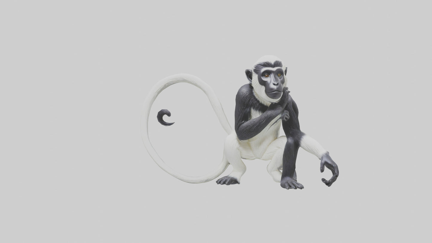 Colobus Monkey statue model VR / AR / low-poly