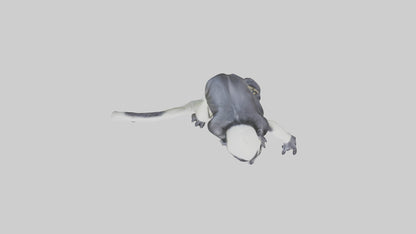 Colobus Monkey statue model VR / AR / low-poly