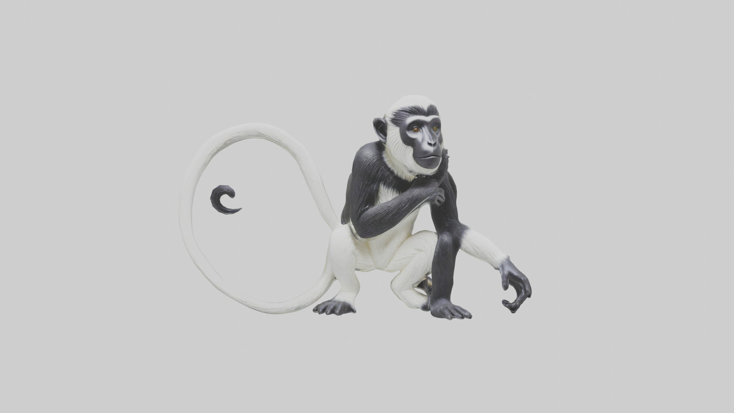Colobus Monkey statue model VR / AR / low-poly