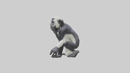 Colobus Monkey statue model VR / AR / low-poly