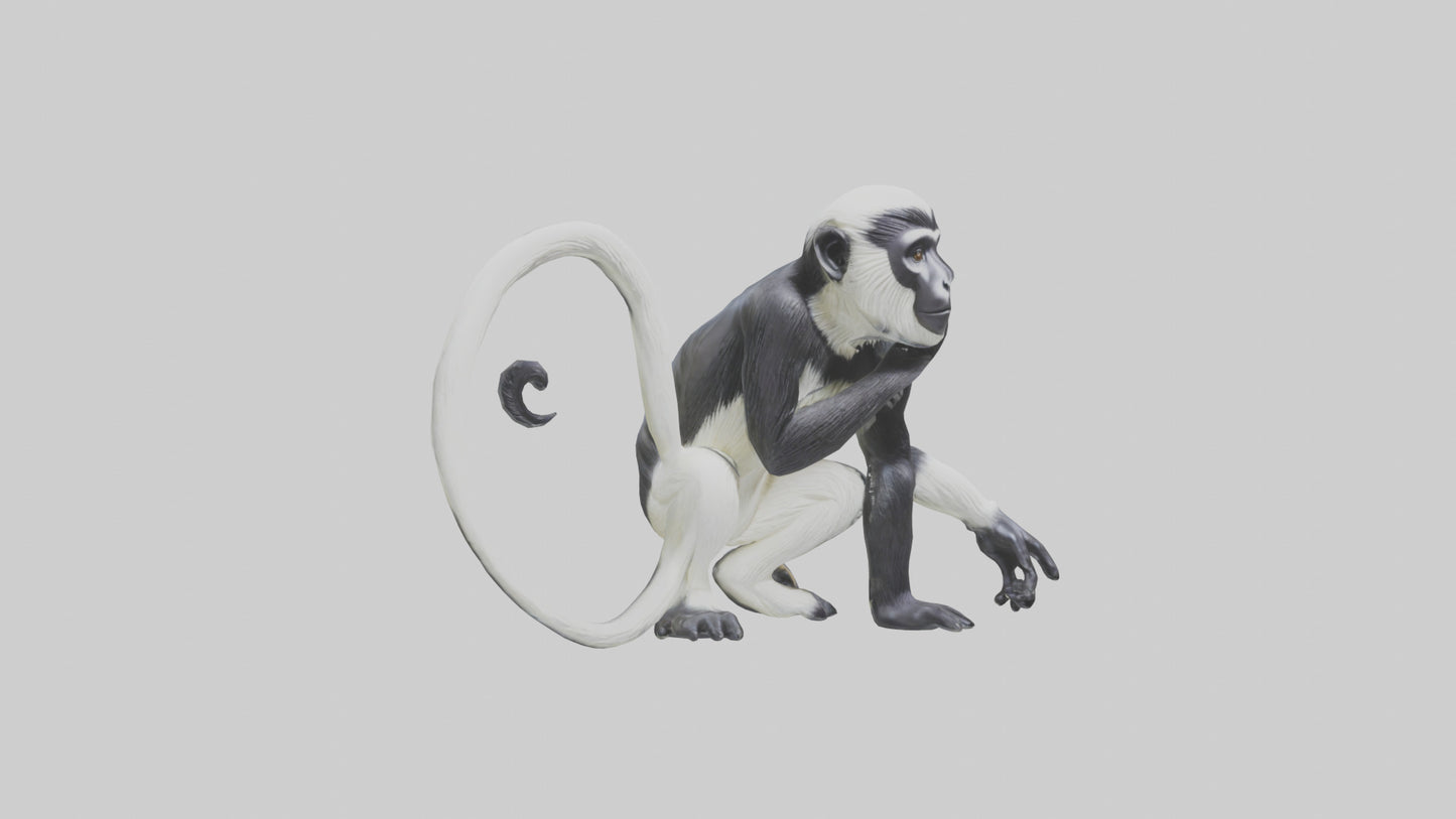 Colobus Monkey statue model VR / AR / low-poly