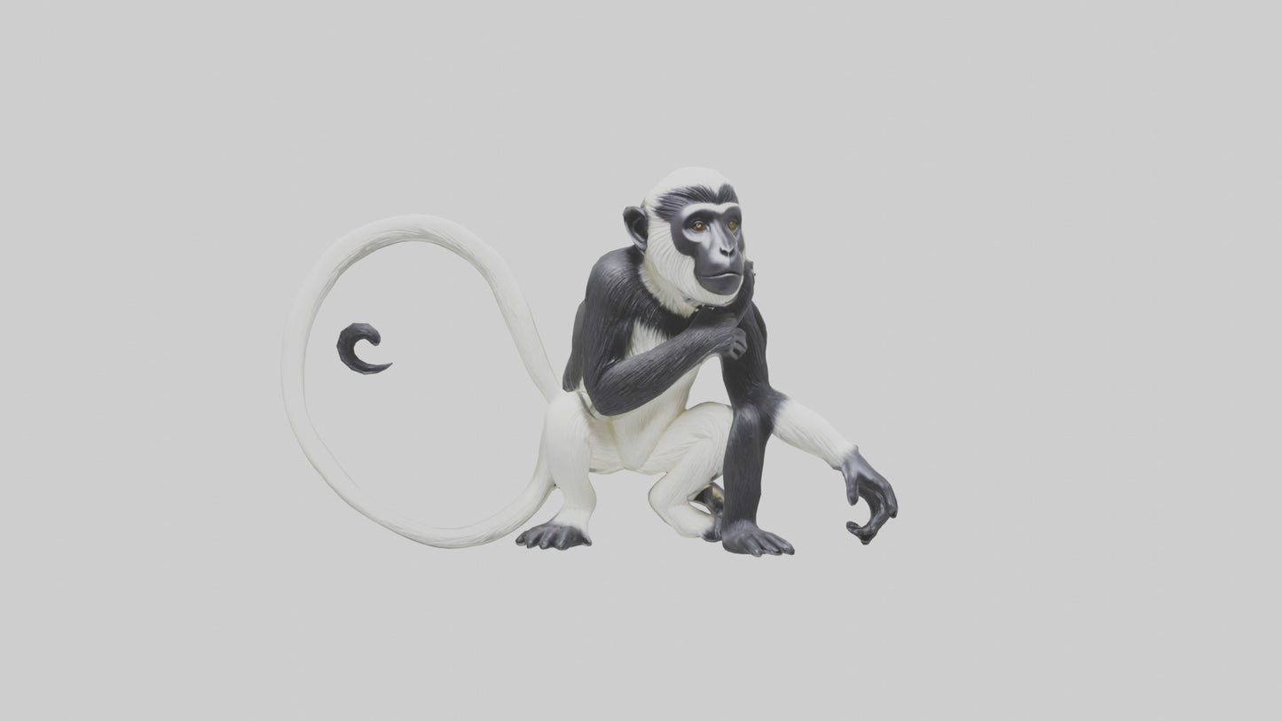 Colobus Monkey statue model VR / AR / low-poly