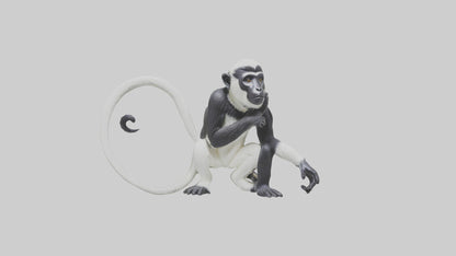 Colobus Monkey statue model VR / AR / low-poly
