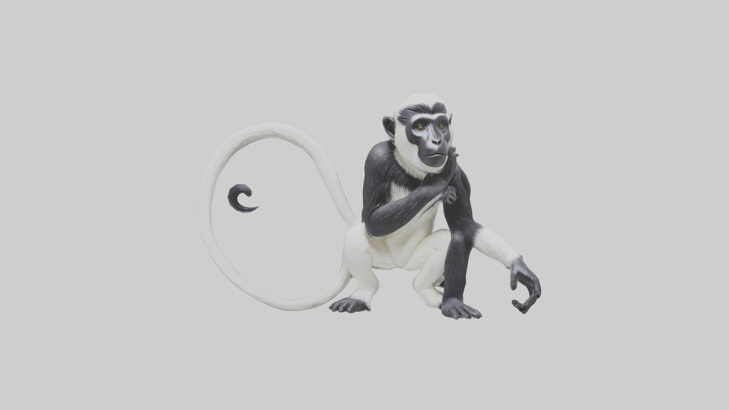 Colobus Monkey statue model VR / AR / low-poly