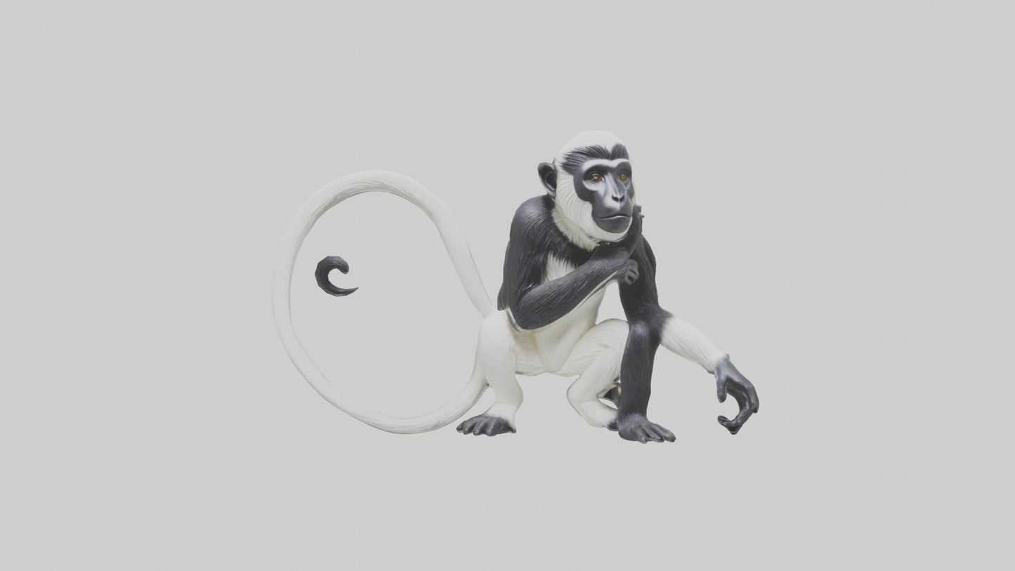 Colobus Monkey statue model VR / AR / low-poly