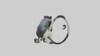 Colobus Monkey statue model VR / AR / low-poly