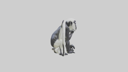 Colobus Monkey statue model VR / AR / low-poly