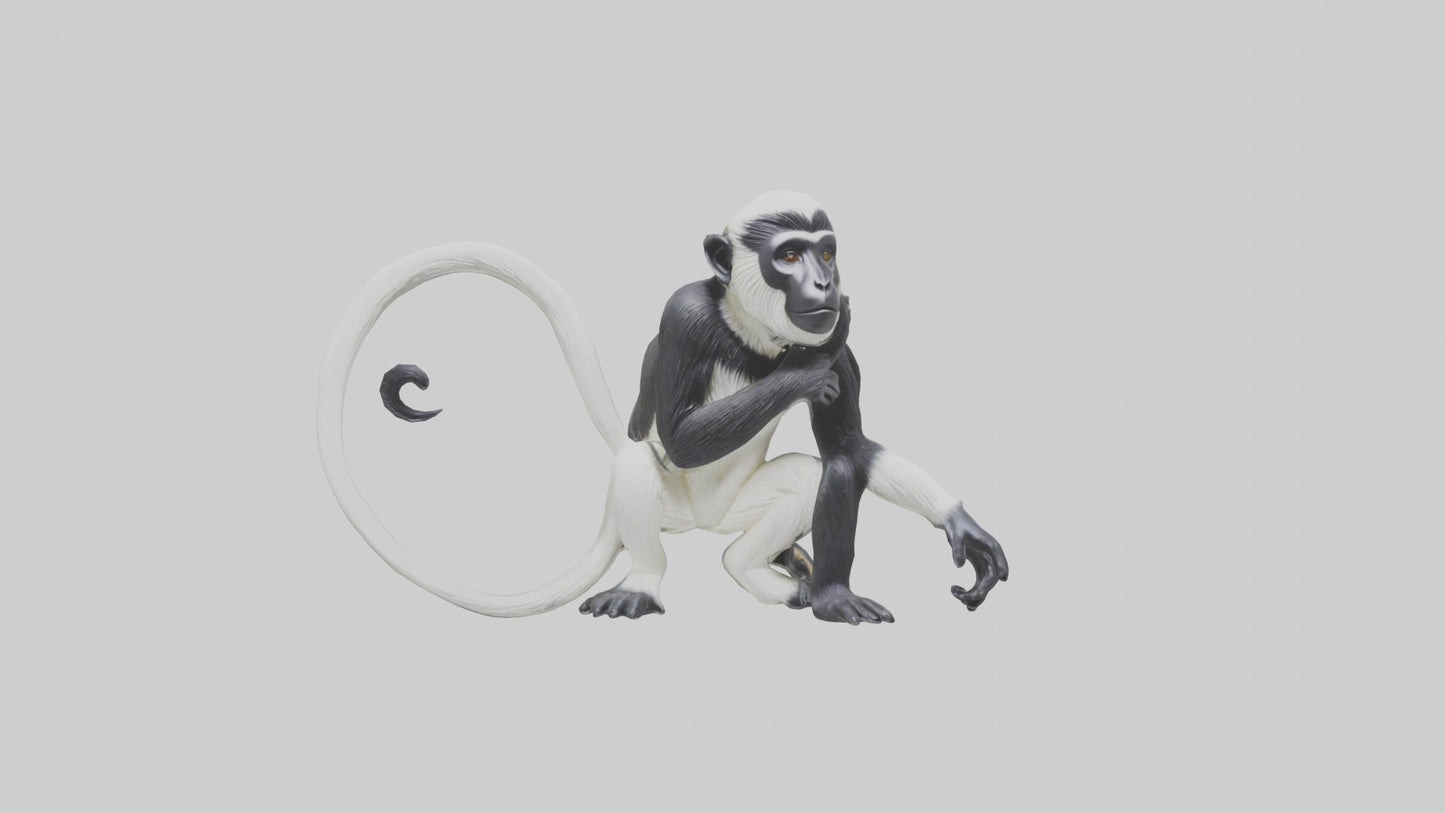 Colobus Monkey statue model VR / AR / low-poly