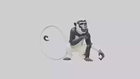 Colobus Monkey statue model VR / AR / low-poly