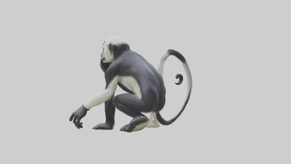 Colobus Monkey statue model VR / AR / low-poly