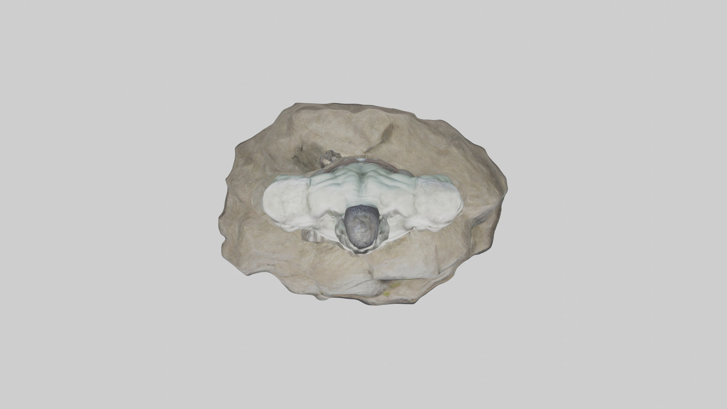 3D model Colossus Giant model VR / AR / low-poly