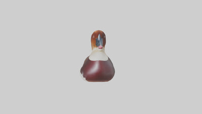 Common Pochard swimming model VR / AR / low-poly