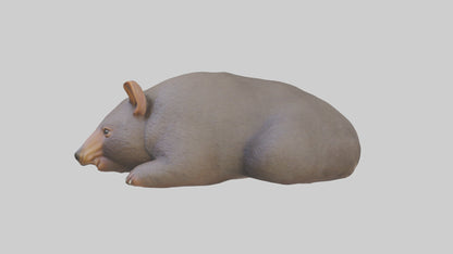 Common Wombat resting model VR / AR / low-poly