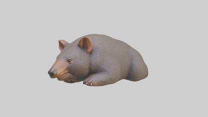 Common Wombat resting model VR / AR / low-poly
