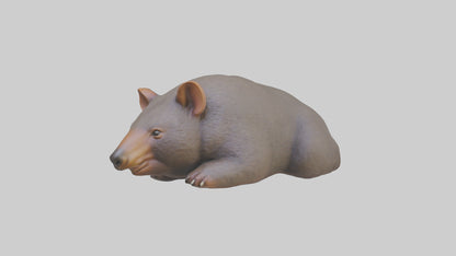 Common Wombat resting model VR / AR / low-poly