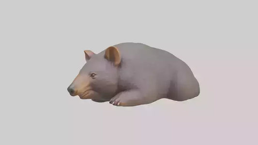 Common Wombat resting model VR / AR / low-poly