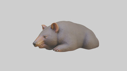 Common Wombat resting model VR / AR / low-poly