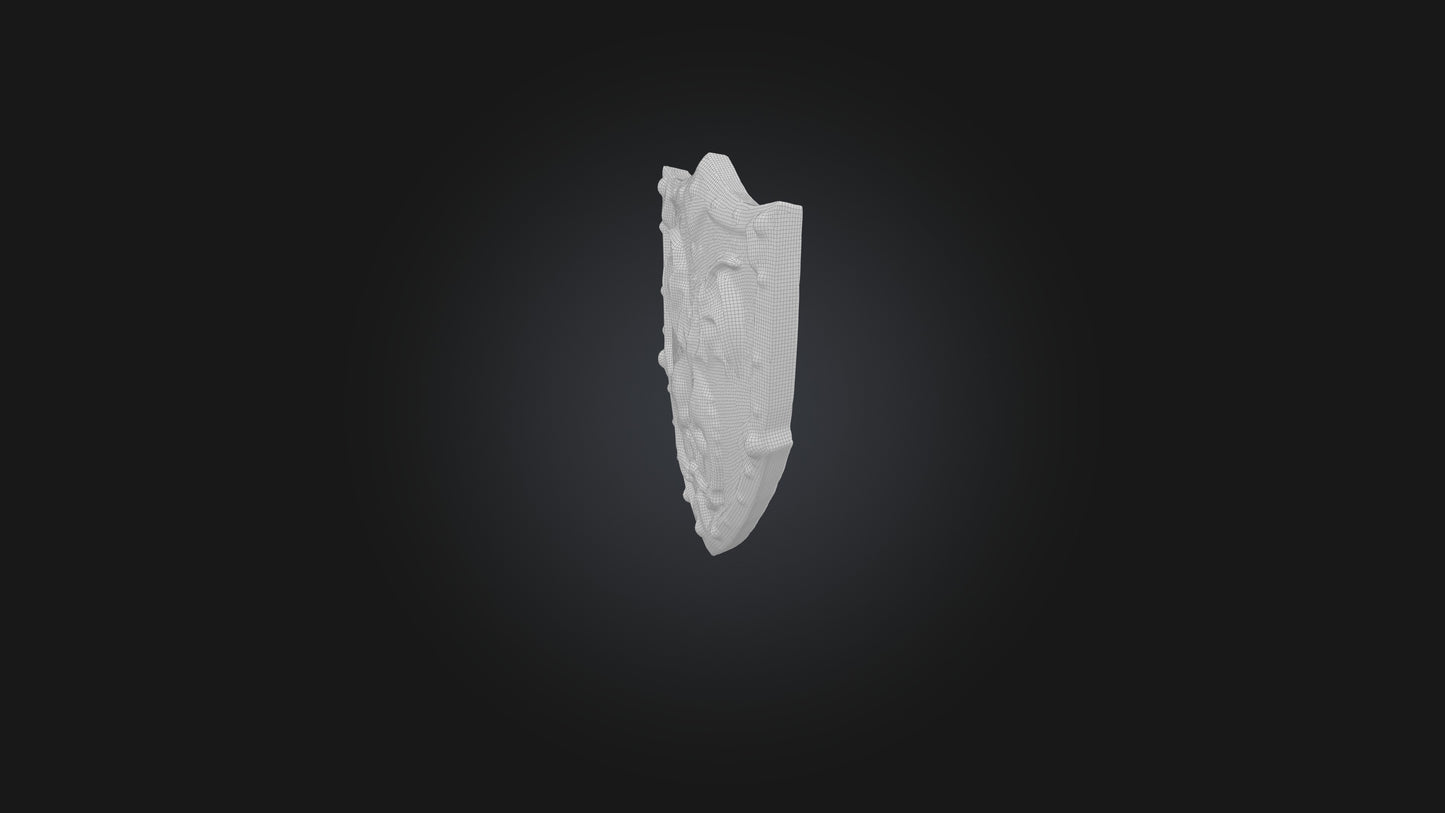 Cool style shield model 3D model