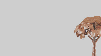 3D model Copper Beech tree model VR / AR / low-poly