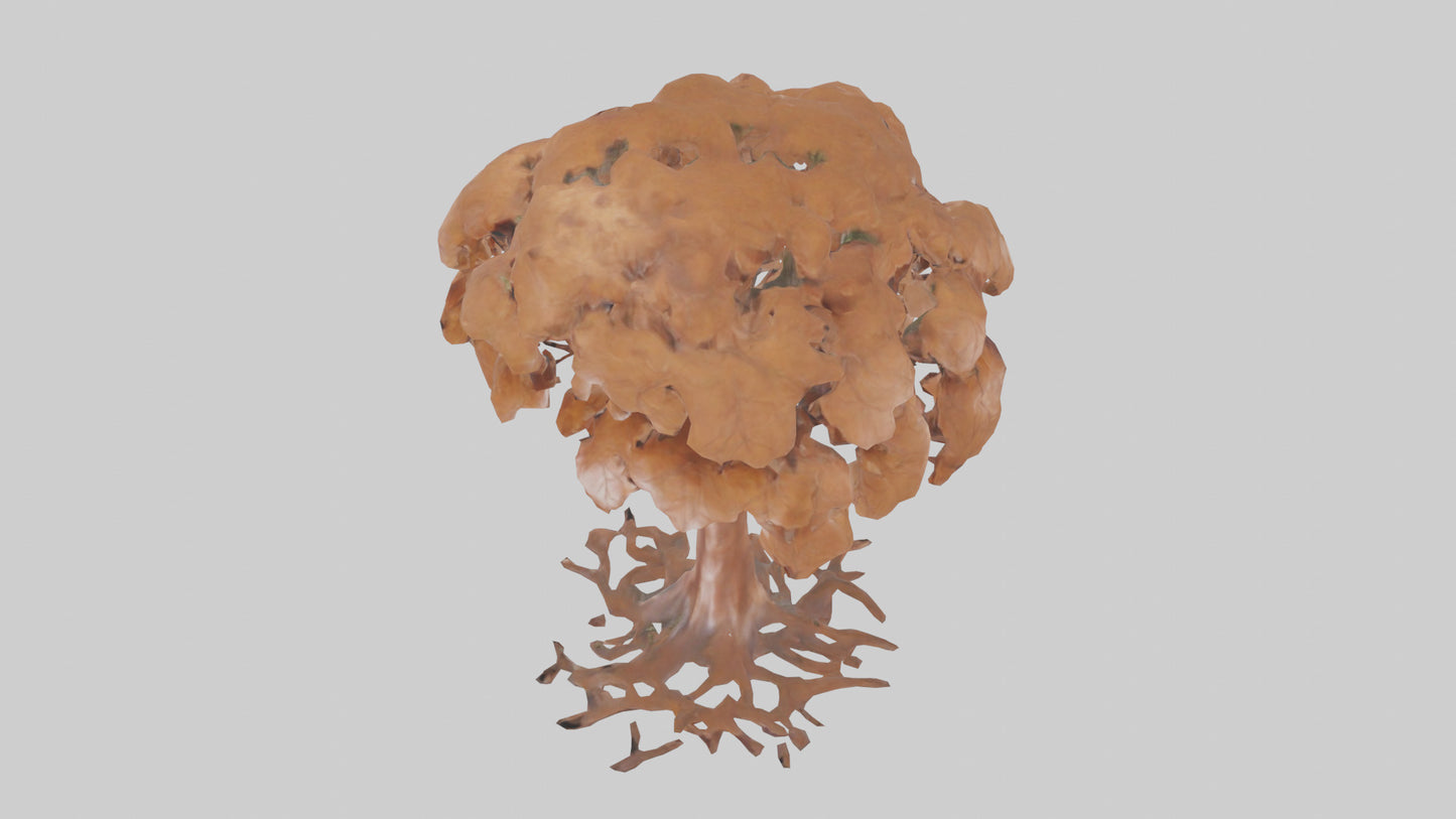 3D model Copper Beech tree model VR / AR / low-poly