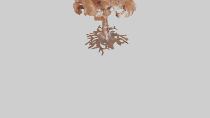 3D model Copper Beech tree model VR / AR / low-poly