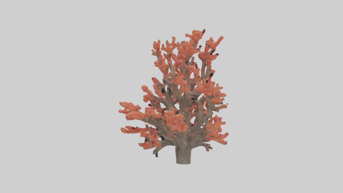 3D model Coral tree model VR / AR / low-poly