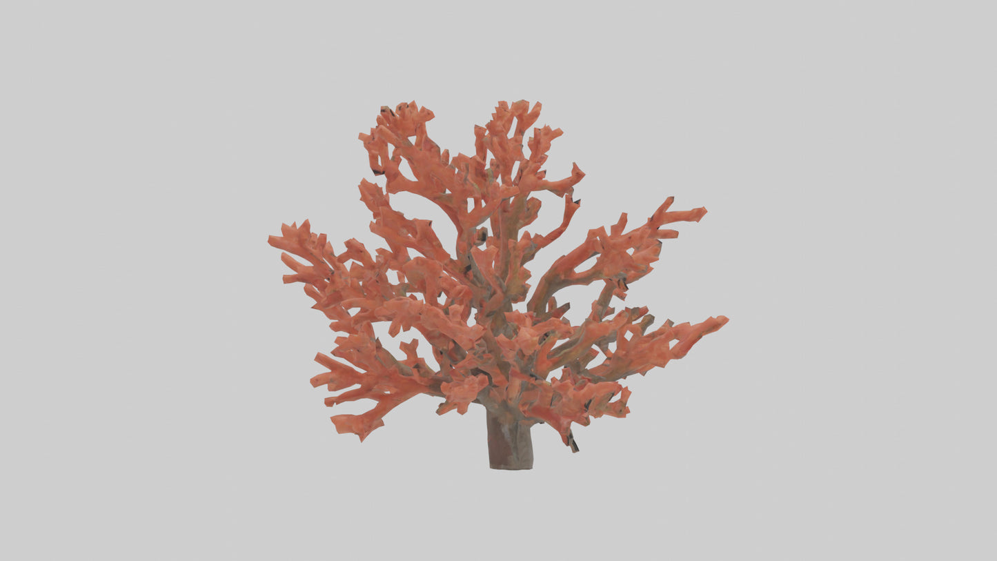3D model Coral tree model VR / AR / low-poly