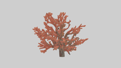 3D model Coral tree model VR / AR / low-poly