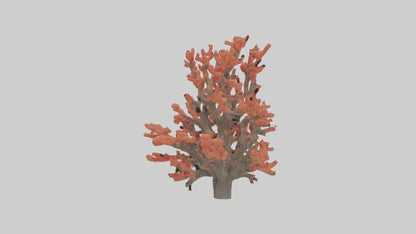 3D model Coral tree model VR / AR / low-poly