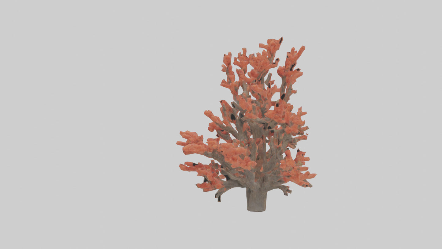 3D model Coral tree model VR / AR / low-poly