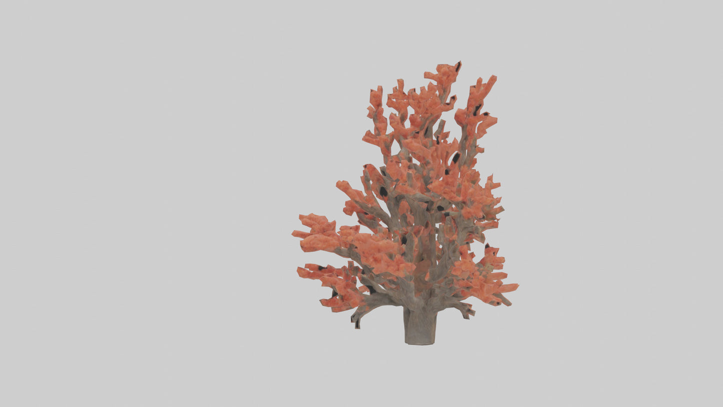 3D model Coral tree model VR / AR / low-poly