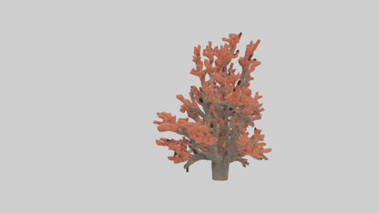 3D model Coral tree model VR / AR / low-poly