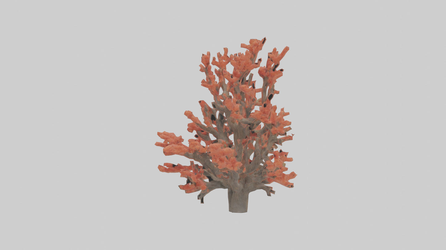 3D model Coral tree model VR / AR / low-poly