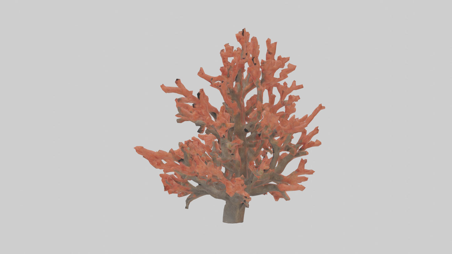 3D model Coral tree model VR / AR / low-poly